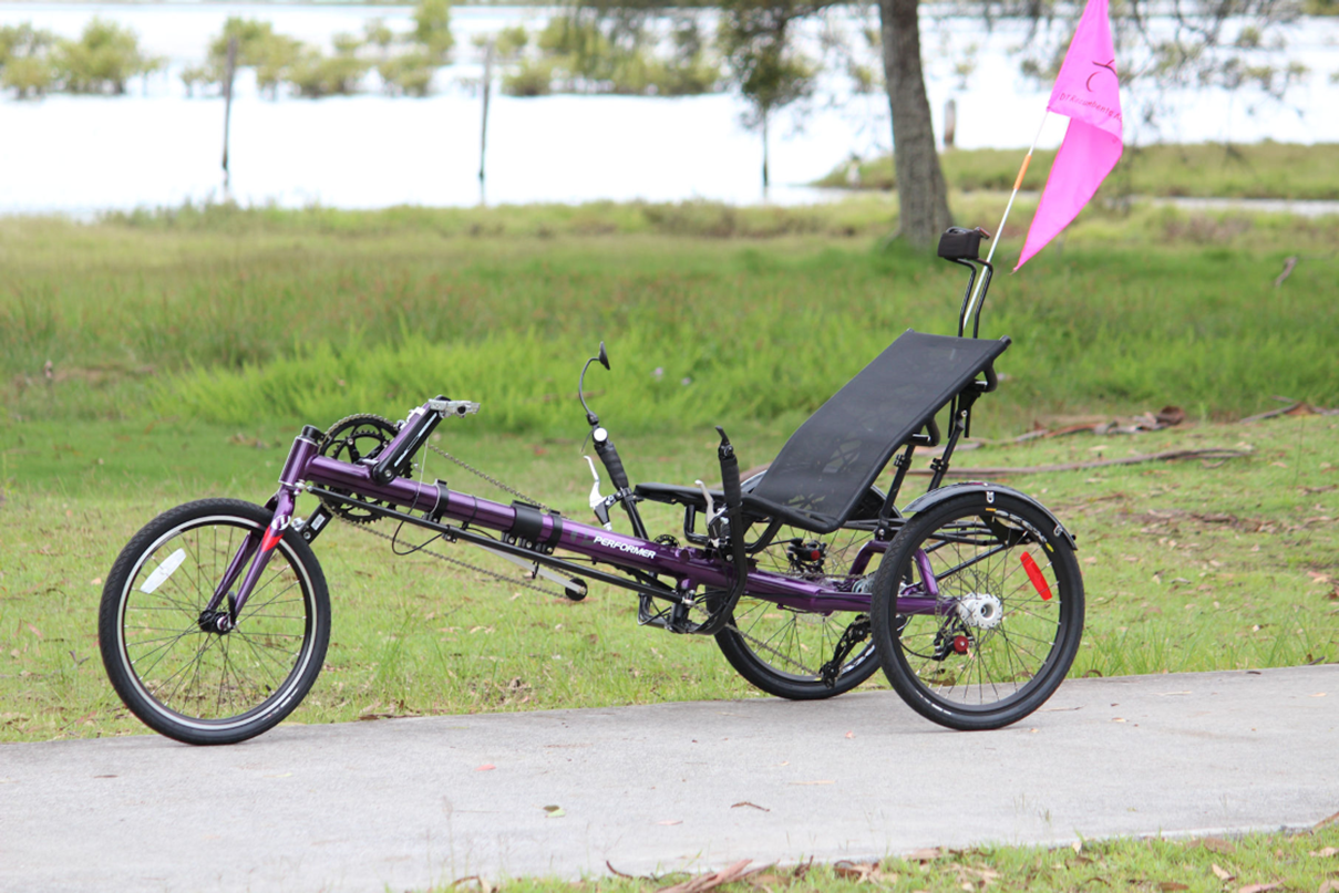 Performer futuro delta style trike