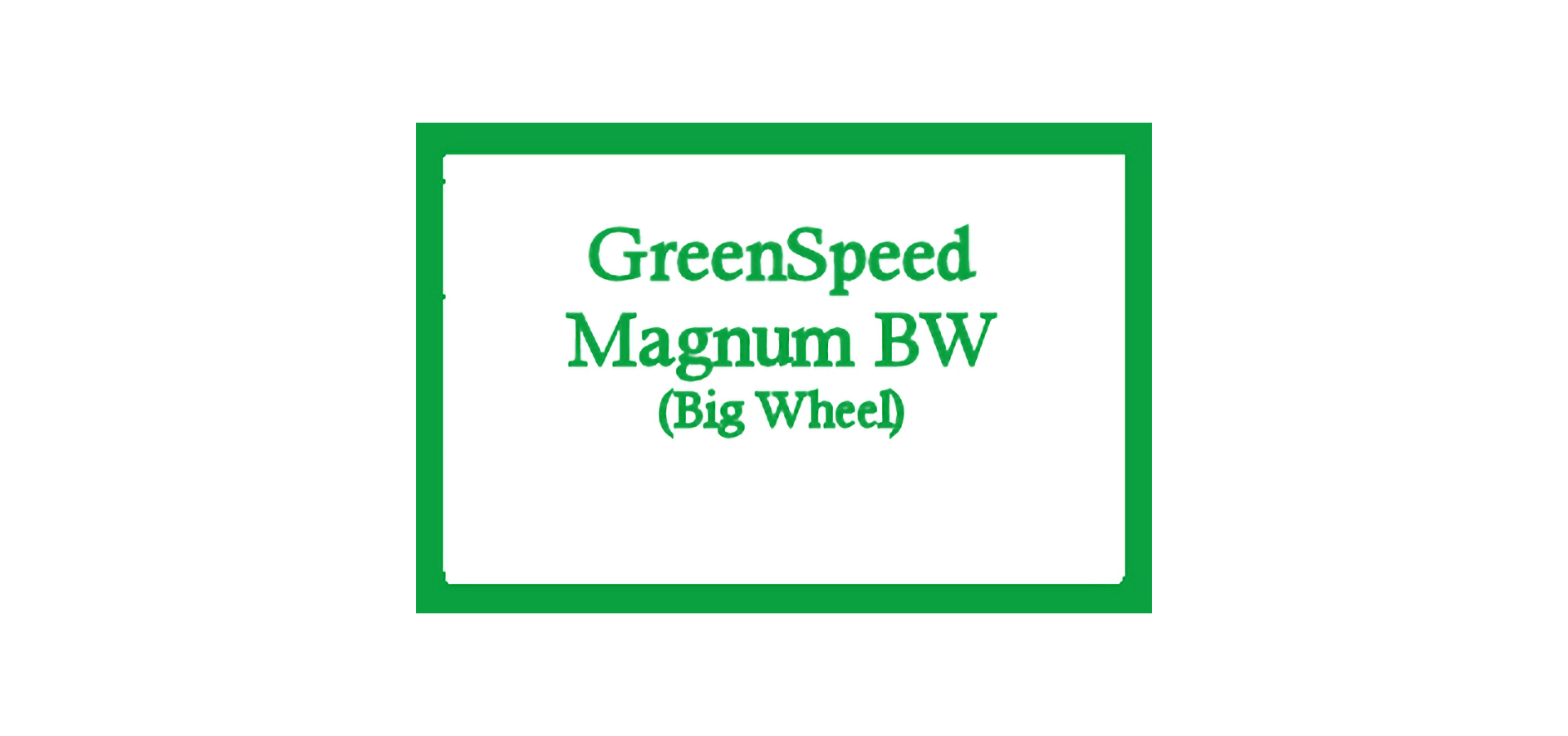 MagnumBW1 recumbent trike